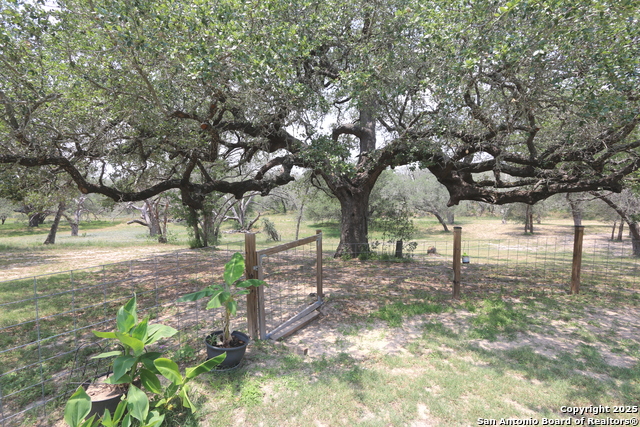 Image 60 of 67 For 421 Ringaskiddy Circle