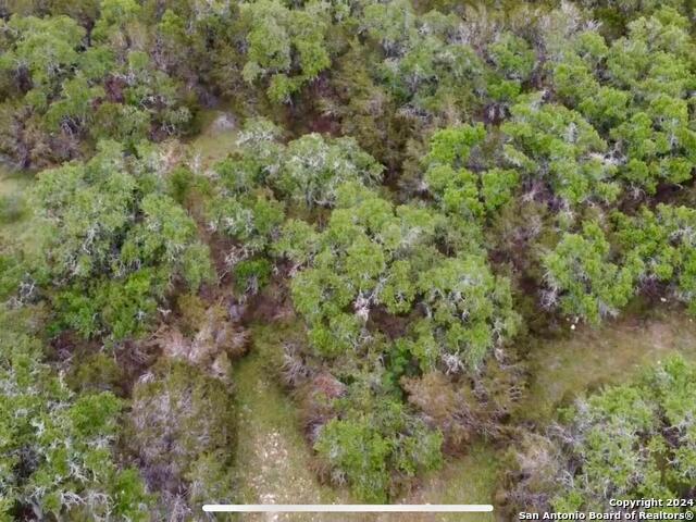 Listing photo id 9 for 343 Serenity Pass