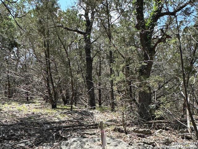 Listing photo id 10 for 343 Serenity Pass