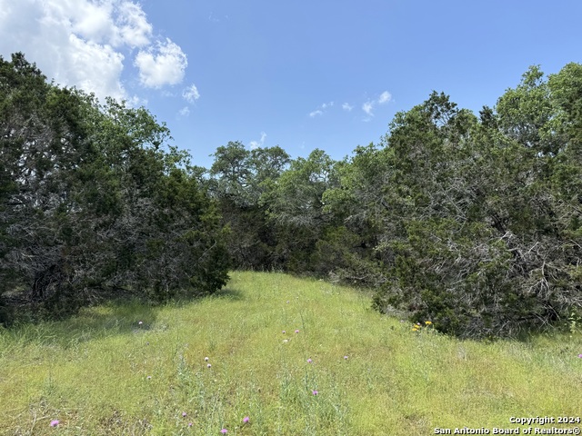 Listing photo id 0 for 343 Serenity Pass