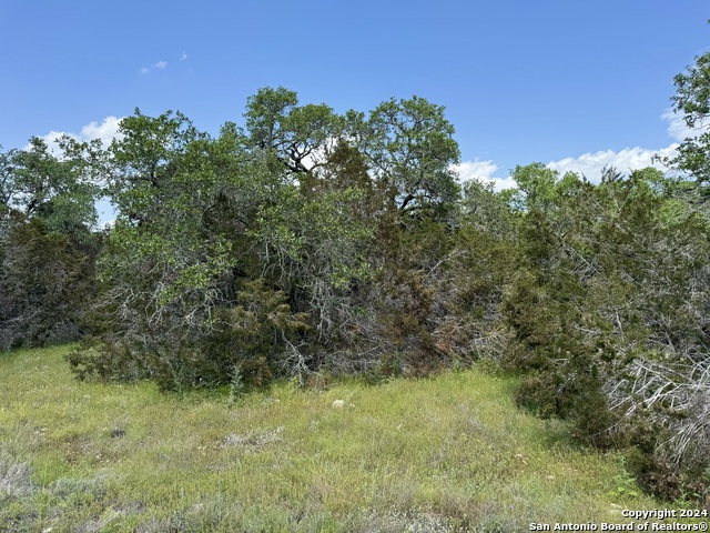 Listing photo id 1 for 343 Serenity Pass