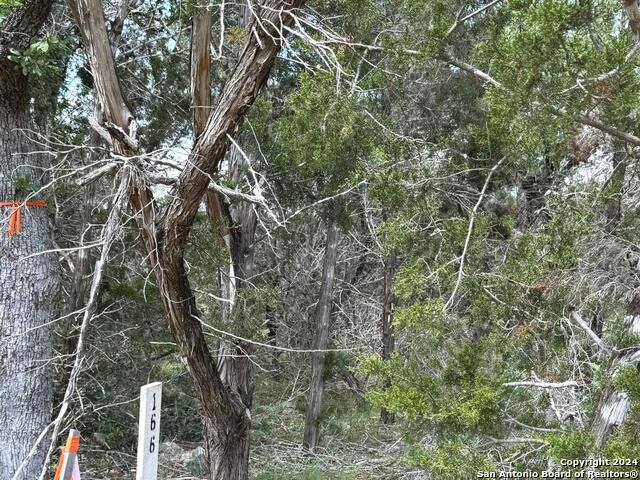 Listing photo id 4 for 343 Serenity Pass