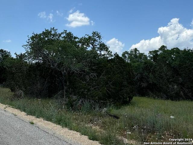 Listing photo id 5 for 343 Serenity Pass