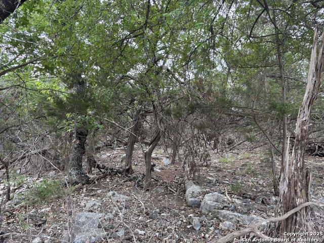 Details for 1424 Stahlman, New Braunfels, TX 78132