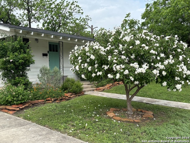 Listing photo id 1 for 345 Westminster