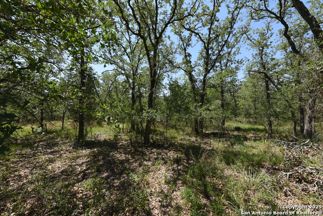 Listing photo id 8 for 1464 Cross Road