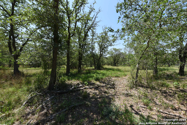 Listing photo id 12 for 1464 Cross Road