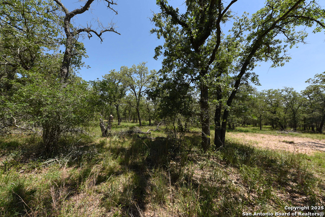 Listing photo id 13 for 1464 Cross Road