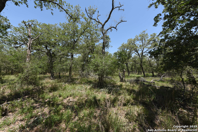 Listing photo id 14 for 1464 Cross Road