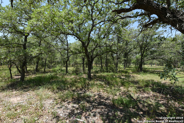 Listing photo id 15 for 1464 Cross Road