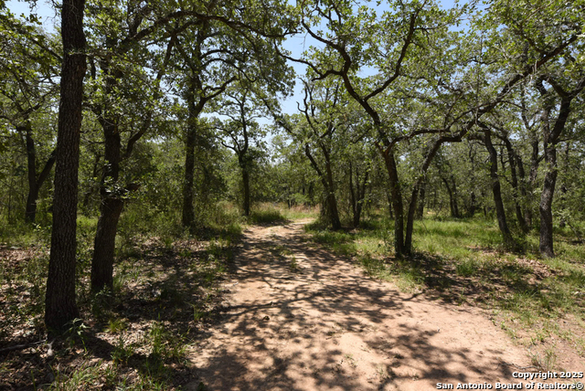 Listing photo id 0 for 1464 Cross Road