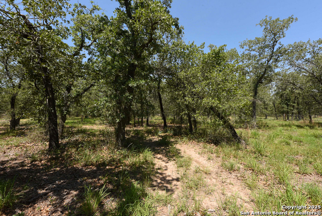 Listing photo id 3 for 1464 Cross Road