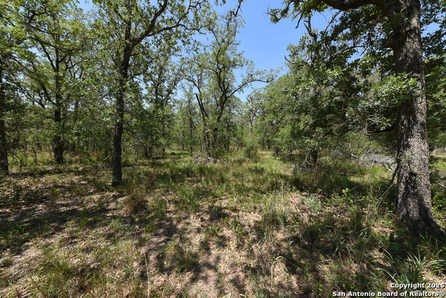 Listing photo id 7 for 1464 Cross Road