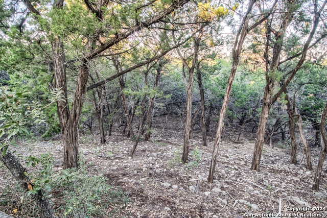 Listing photo id 36 for 8705 Mountain Top