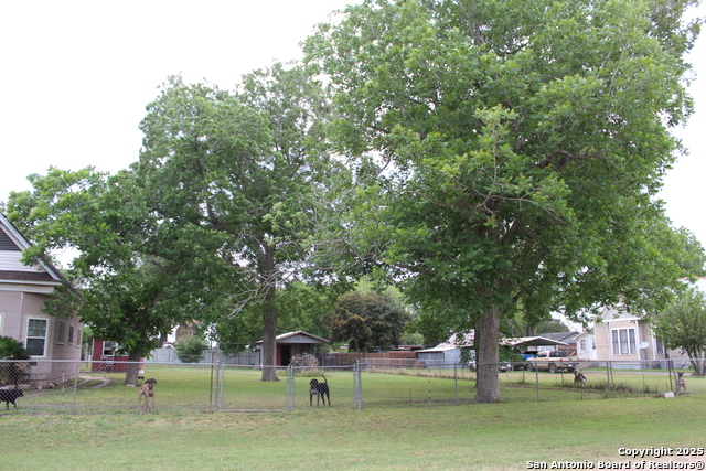 Image 4 of 16 For 302 5th  