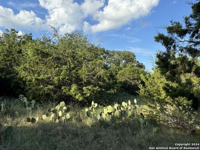 Details for Lot 10 Rocky Point Drive, Spring Branch, TX 78070