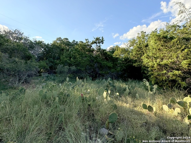 Image 3 of 9 For Lot 10 Rocky Point Drive