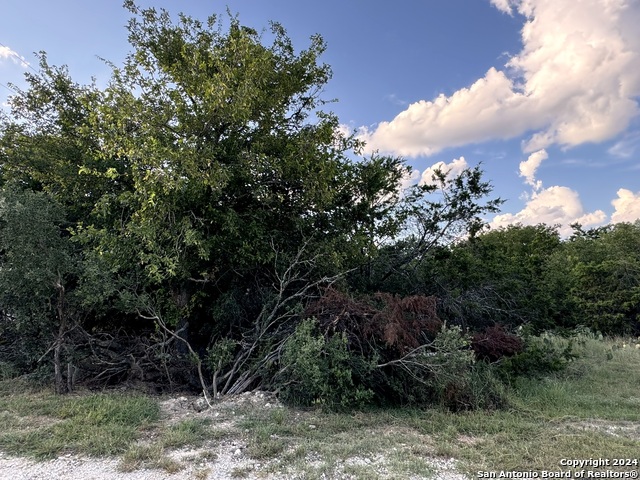 Image 6 of 9 For Lot 10 Rocky Point Drive