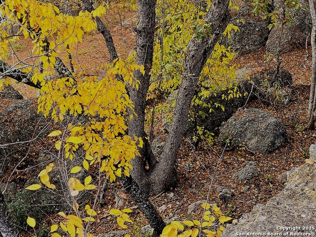 Listing photo id 9 for 224 Rocky Top