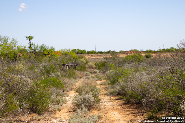 Image 19 of 34 For 000 Us Hwy 83 N