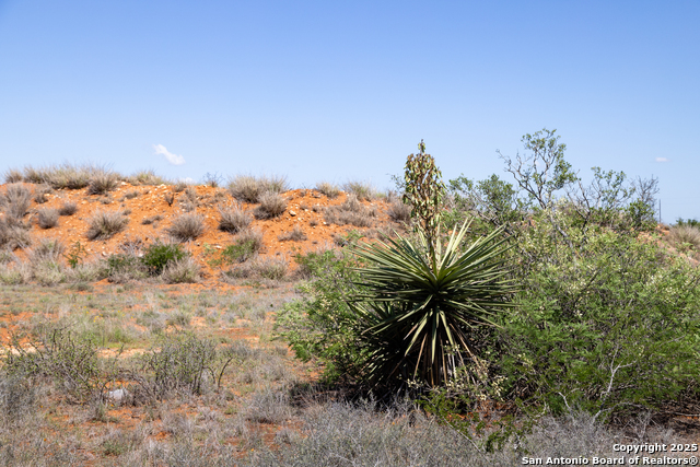 Image 22 of 34 For 000 Us Hwy 83 N