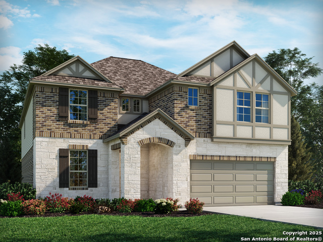 Details for 10411 Dragonfish Avenue, Boerne, TX 78006