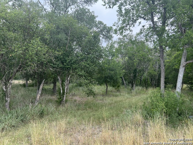 Details for 483 Oak Knoll, San Antonio, TX 78228