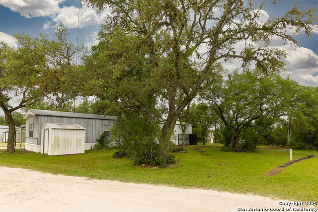 Image 11 of 19 For 8117 Silverwings