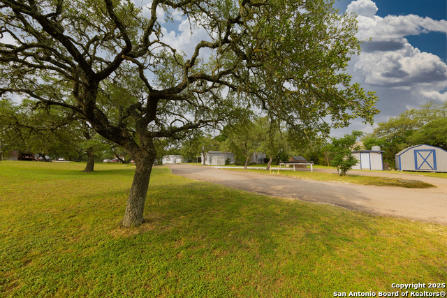 Image 15 of 19 For 8117 Silverwings
