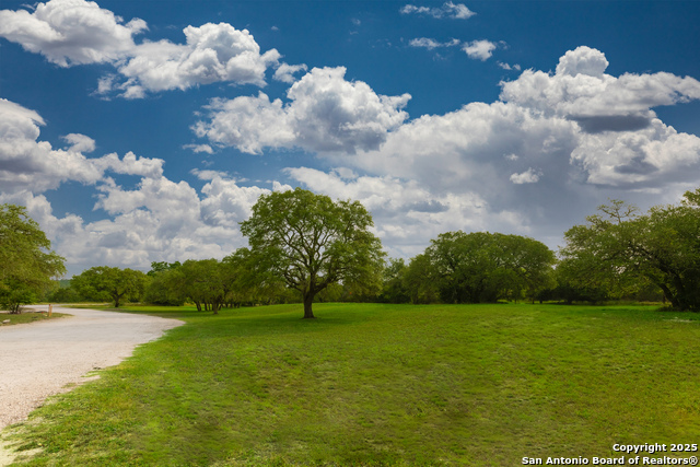 Image 17 of 19 For 8117 Silverwings
