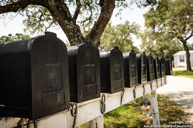 Image 18 of 19 For 8117 Silverwings