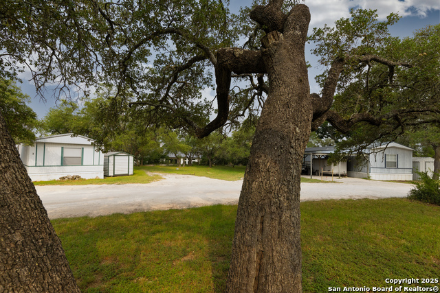 Image 6 of 19 For 8117 Silverwings