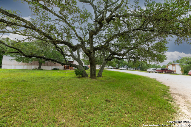 Image 9 of 19 For 8117 Silverwings