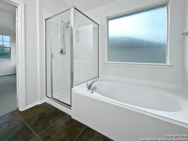 Image 7 of 18 For 204 Bridle  