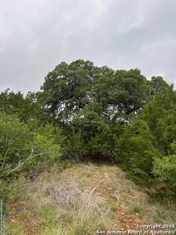 Image 2 of 27 For Tbd Oak Ridge