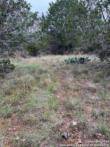 Image 7 of 27 For Tbd Oak Ridge