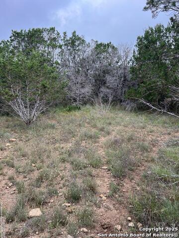Image 8 of 27 For Tbd Oak Ridge