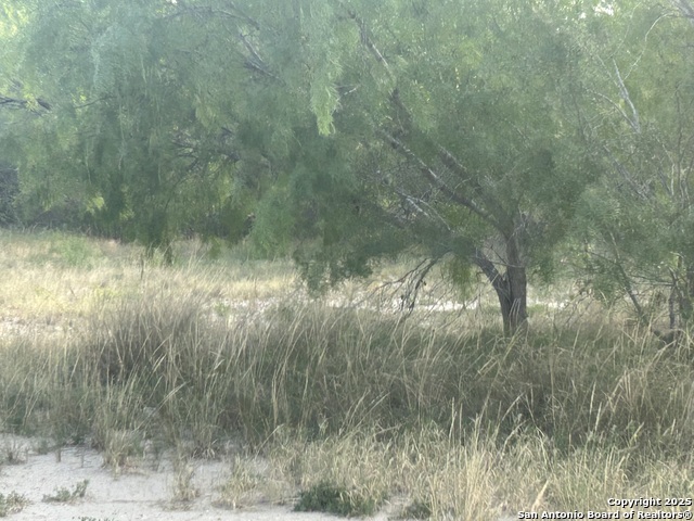 Image 4 of 13 For 1379 County Road 772