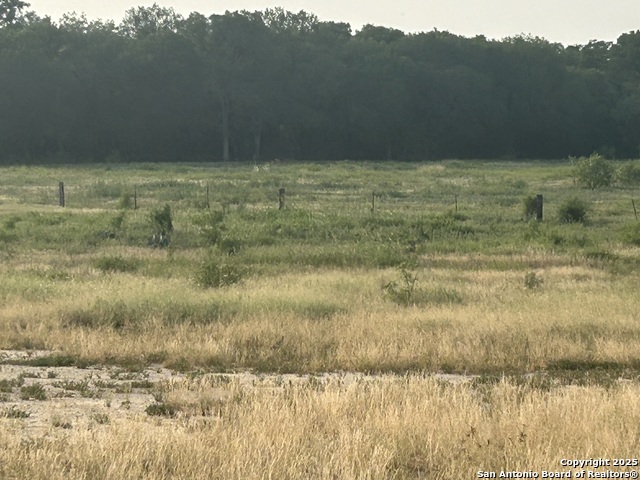 Image 7 of 13 For 1379 County Road 772