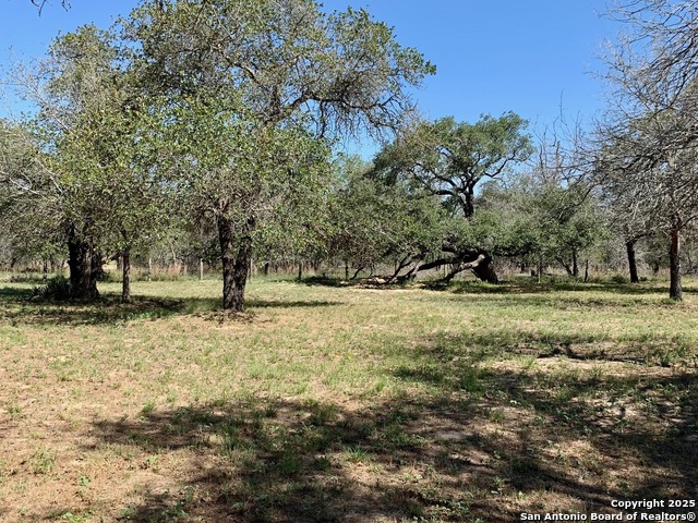 Listing photo id 30 for 118 Willow Creek
