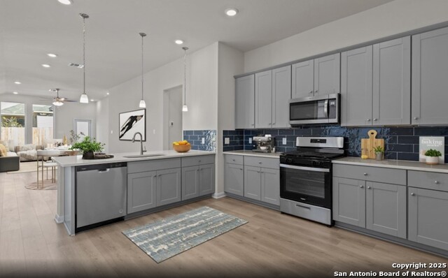 Listing photo id 0 for 13207 Gustave Grove