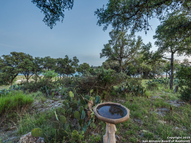 Listing photo id 39 for 1000 Bamc