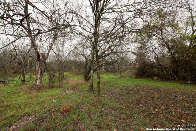 Image 11 of 19 For 11207 Amhurst