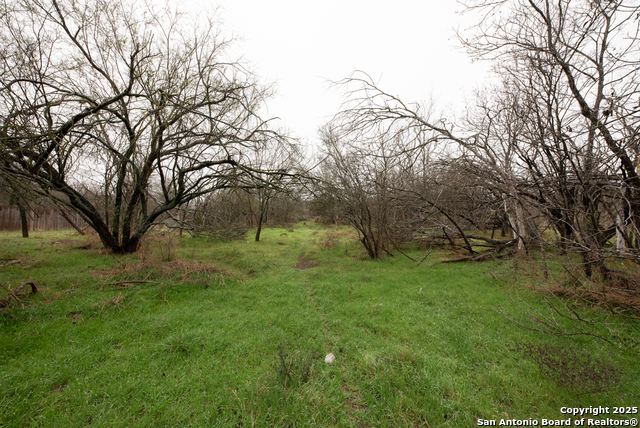 Image 7 of 19 For 11207 Amhurst