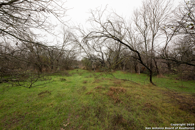 Image 8 of 19 For 11207 Amhurst