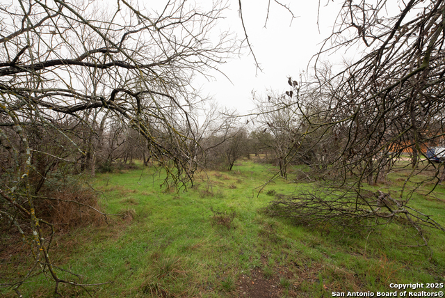 Image 9 of 19 For 11207 Amhurst