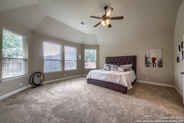 Listing photo id 20 for 3811 Mira Mesa