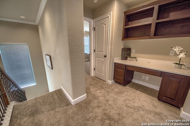 Listing photo id 27 for 3811 Mira Mesa
