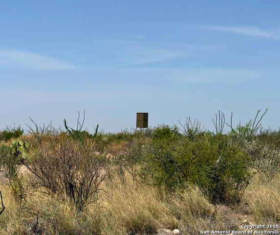 Image 18 of 36 For Tbd Other