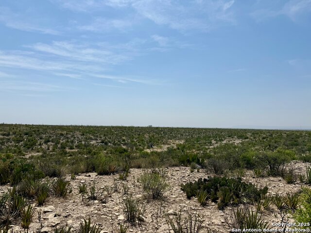 Image 20 of 36 For Tbd Other